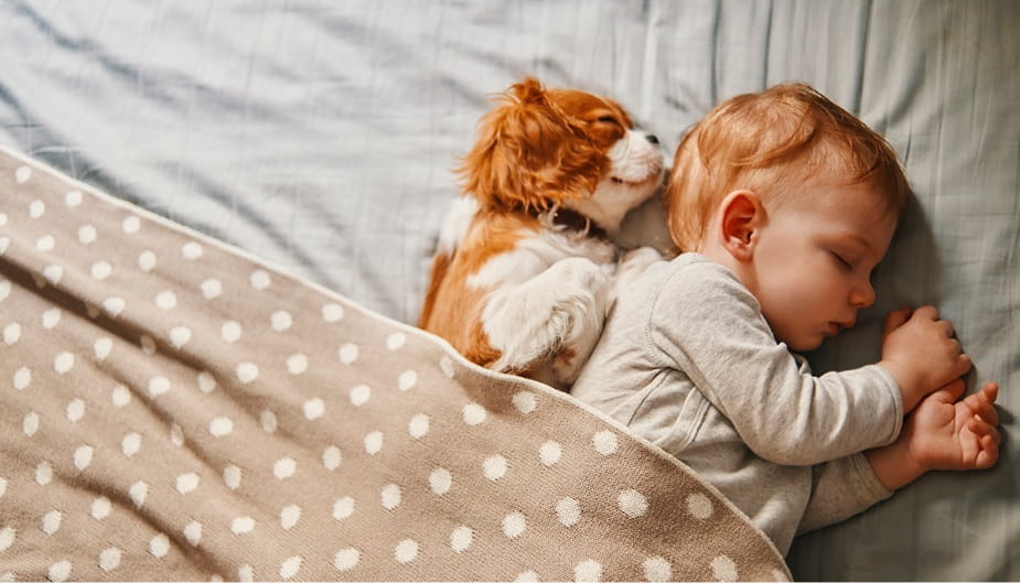 Baby-sleeping-diarrhea-in-babies-and-children-and-probiotics-925-529