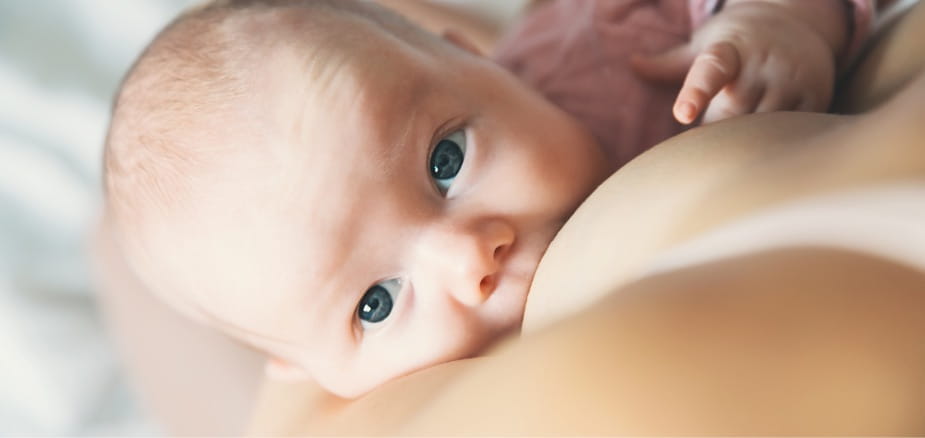 Gestillter Säugling und probiotische Nahrungsergänzung