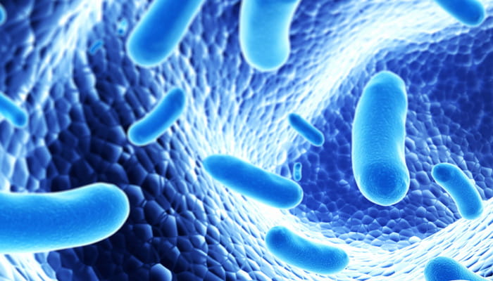 Chr. Hansen étend sa bibliothèque de souches pour la nouvelle génération de probiotiques 