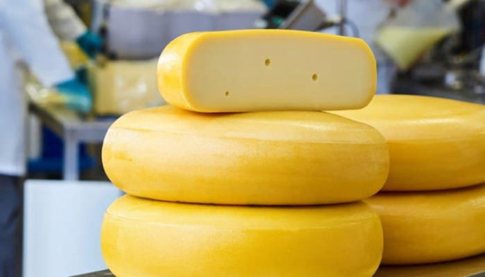开创性促凝剂促进奶酪产量提高